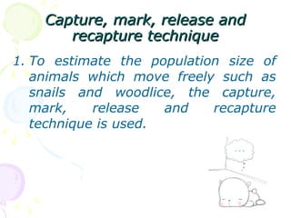 Capture, mark, release and recapture technique To estimate the population size of animals which move freely such as snails and woodlice, the capture, mark, release and recapture technique is used. 