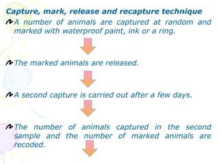 Capture, mark, release and recapture technique A number of animals are captured at random and marked with waterproof paint, ink or a ring. The marked animals are released. A second capture is carried out after a few days. The number of animals captured in the second sample and the number of marked animals are recoded. 