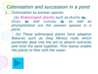Colonisation and succession in a pond  <ul><li>Colonisation by pioneer species </li></ul><ul><li>(a)  Submerged plants  su...