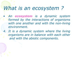 <ul><li>What is an ecosystem ? </li></ul><ul><li>An  ecosystem  is a dynamic system formed by the interactions of organism...