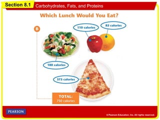 Section 8.1 Carbohydrates, Fats, and Proteins
 