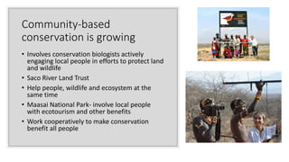 Conservation Biology slides by Kiersten Lippmann | PPTX