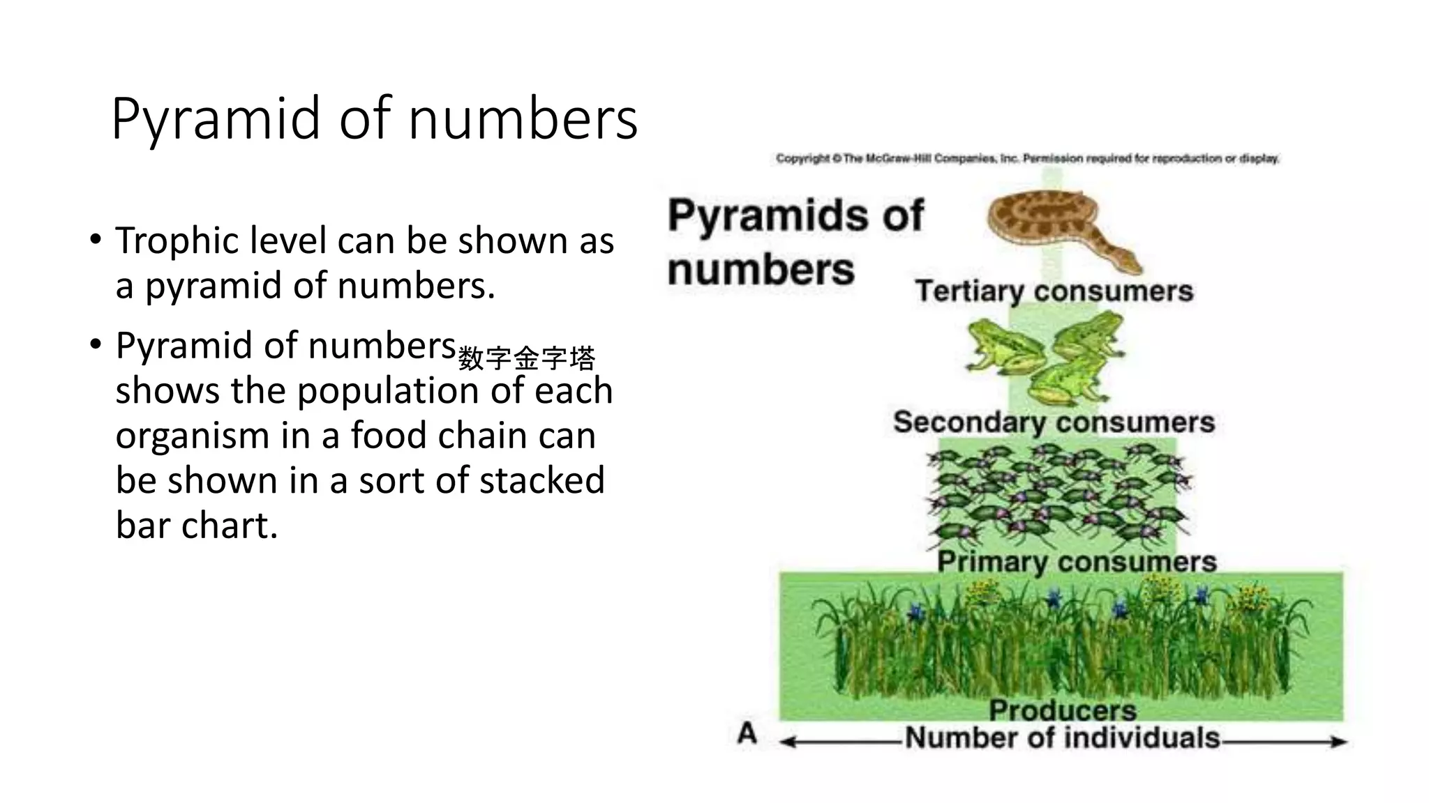 Chapter 8 dynamic ecosystem Form 4 Biology | PPTX | Science