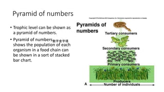 Chapter 8 dynamic ecosystem Form 4 Biology | PPTX