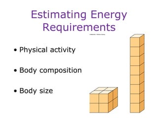 Estimating Energy Requirements Physical activity Body composition Body size 