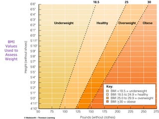 BMI Values Used to Assess Weight 