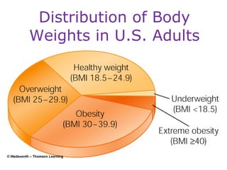 Distribution of Body Weights in U.S. Adults 
