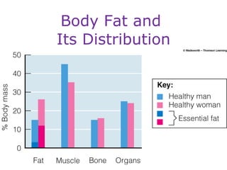 Body Fat and  Its Distribution 