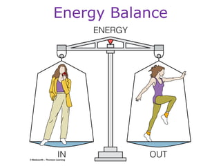 Energy Balance 