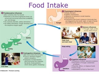 Food Intake  
