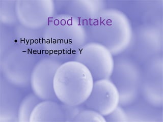 Food Intake  Hypothalamus Neuropeptide Y 