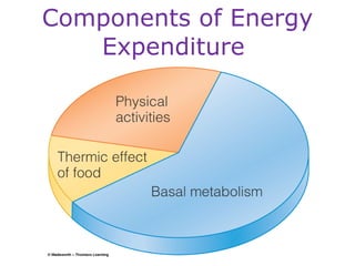 Components of Energy Expenditure  