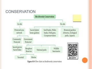 CONSERVATION
 