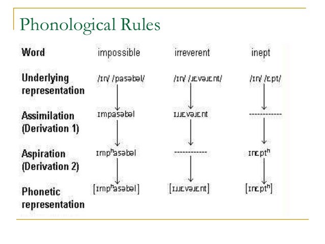 phonology chapter 8 phonological rules