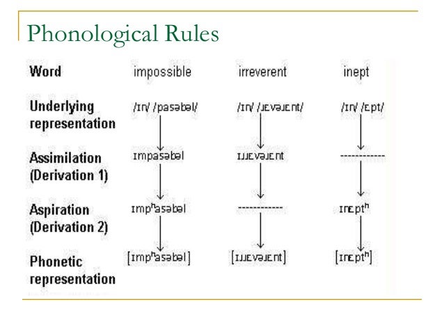 description of phonological processes