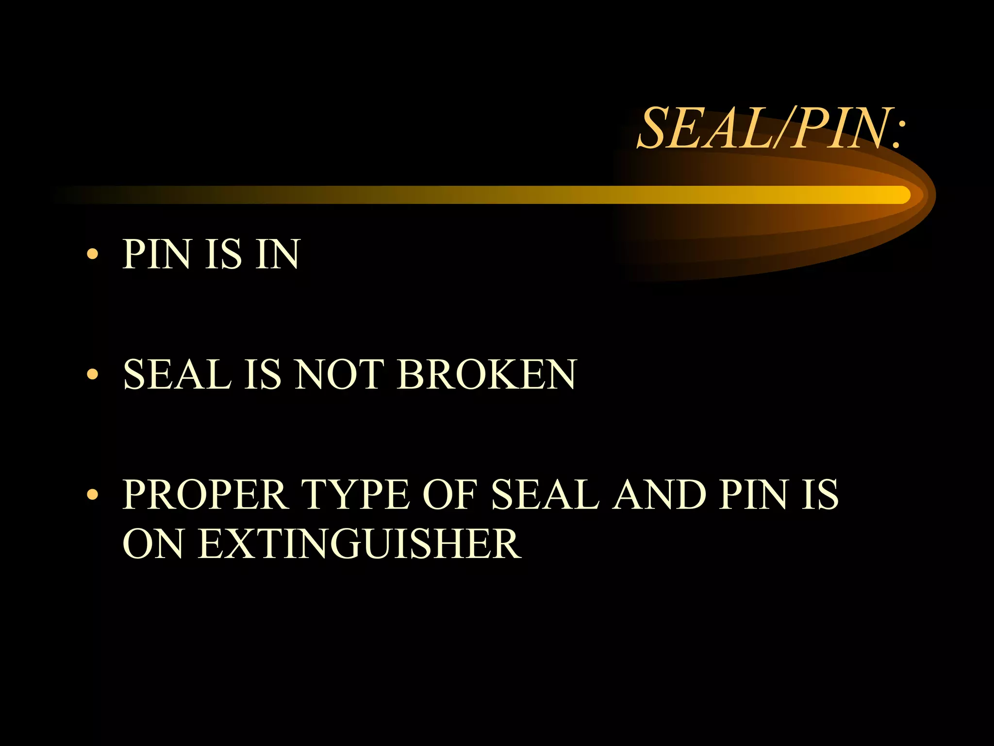 SEAL/PIN: PIN IS IN SEAL IS NOT BROKEN PROPER TYPE OF SEAL AND PIN IS ON EXTINGUISHER 