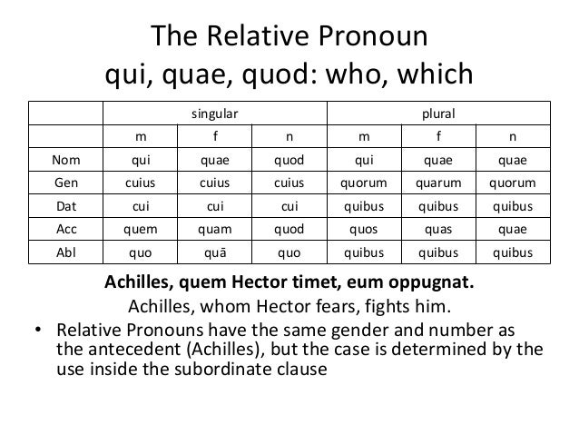 chapter 8 grammar a qui quae quod chart