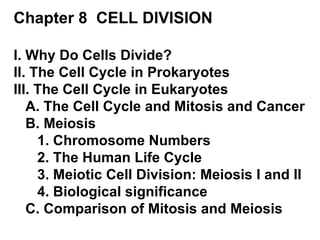 Chapter 8  CELL DIVISION I. Why Do Cells Divide? II. The Cell Cycle in Prokaryotes III. The Cell Cycle in Eukaryotes A. The Cell Cycle and Mitosis and Cancer B. Meiosis 1. Chromosome Numbers 2. The Human Life Cycle 3. Meiotic Cell Division: Meiosis I and II 4. Biological significance C. Comparison of Mitosis and Meiosis 