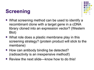 Screening What screening method can be used to identify a recombinant clone with a target gene in a cDNA library cloned into an expression vector? (Western Blot) What role does a plastic membrane play in this screening strategy? (protein product will stick to the membane) How can antibody binding be detected? (radioactivity is an inexpensive method!) Review the next slide—know how to do this! 