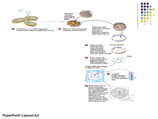 PowerPoint ®  Layered Art 