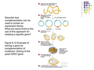 Describe how complementation can be used to screen an expression library.  What are some limits to the use of this approach for isolating a specific gene?  Figure 8.12 Example of cloning a gene by complementation of mutations: cloning of the yeast  ARG1  gene.  