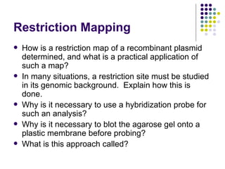 Restriction Mapping How is a restriction map of a recombinant plasmid determined, and what is a practical application of such a map? In many situations, a restriction site must be studied in its genomic background.  Explain how this is done. Why is it necessary to use a hybridization probe for such an analysis? Why is it necessary to blot the agarose gel onto a plastic membrane before probing? What is this approach called? 