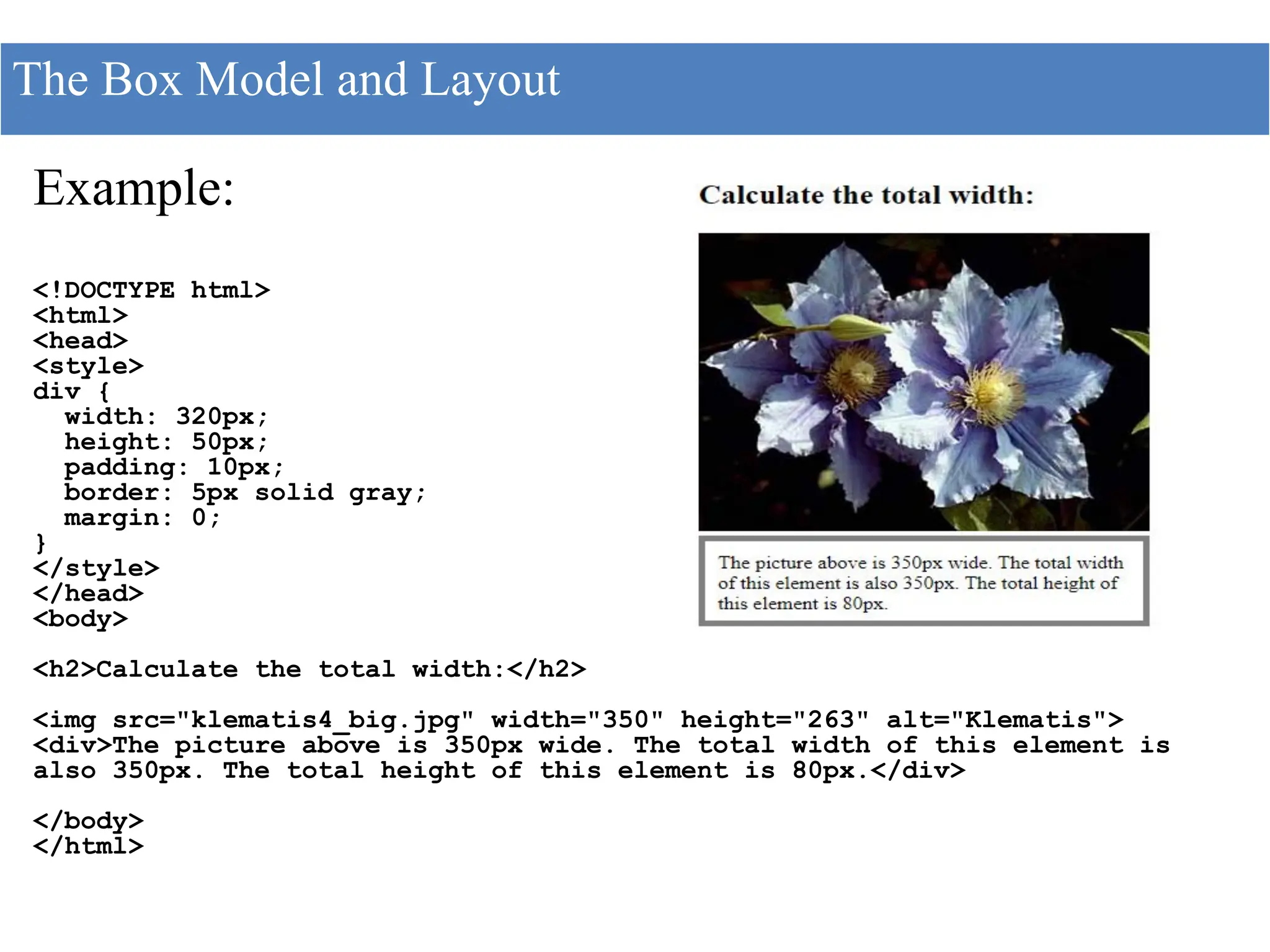 Example:
<!DOCTYPE html>
<html>
<head>
<style>
div {
width: 320px;
height: 50px;
padding: 10px;
border: 5px solid gray;
margin: 0;
}
</style>
</head>
<body>
<h2>Calculate the total width:</h2>
<img src="klematis4_big.jpg" width="350" height="263" alt="Klematis">
<div>The picture above is 350px wide. The total width of this element is
also 350px. The total height of this element is 80px.</div>
</body>
</html>
The Box Model and Layout
 