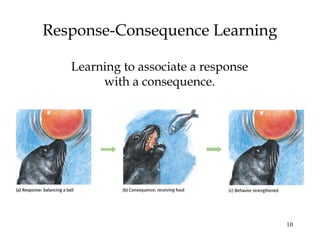 10
Response-Consequence Learning
Learning to associate a response
with a consequence.
 
