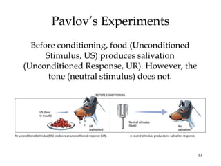 13
Pavlov’s Experiments
Before conditioning, food (Unconditioned
Stimulus, US) produces salivation
(Unconditioned Response, UR). However, the
tone (neutral stimulus) does not.
 