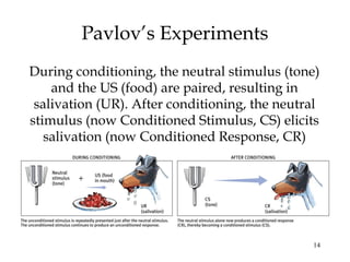 14
Pavlov’s Experiments
During conditioning, the neutral stimulus (tone)
and the US (food) are paired, resulting in
salivation (UR). After conditioning, the neutral
stimulus (now Conditioned Stimulus, CS) elicits
salivation (now Conditioned Response, CR)
 