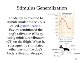19
Stimulus Generalization
Tendency to respond to
stimuli similar to the CS is
called generalization.
Pavlov conditioned the
dog’s salivation (CR) by
using miniature vibrators
(CS) on the thigh. When he
subsequently stimulated
other parts of the dog’s
body, salivation dropped.
 