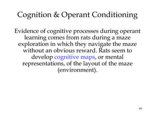 49
Cognition & Operant Conditioning
Evidence of cognitive processes during operant
learning comes from rats during a maze
exploration in which they navigate the maze
without an obvious reward. Rats seem to
develop cognitive maps, or mental
representations, of the layout of the maze
(environment).
 