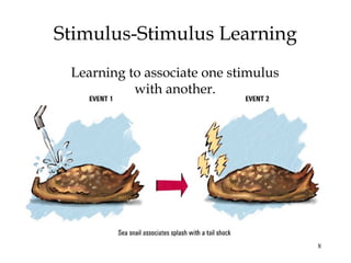 8
Stimulus-Stimulus Learning
Learning to associate one stimulus
with another.
 