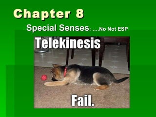 Chapter 8  Special Senses : ….No Not ESP 