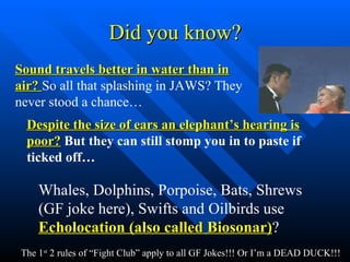 Did you know? Sound travels better in water than in air?  So all that splashing in JAWS? They never stood a chance… Despite the size of ears an elephant’s hearing is poor?  But they can still stomp you in to paste if ticked off… Whales, Dolphins, Porpoise, Bats, Shrews (GF joke here), Swifts and Oilbirds use  Echolocation (also called Biosonar) ?   The 1 st  2 rules of “Fight Club” apply to all GF Jokes!!! Or I’m a DEAD DUCK!!! 