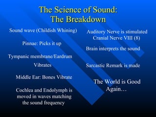 The Science of Sound: The Breakdown Sound wave (Childish Whining)   Pinnae: Picks it up  Tympanic membrane/Eardrum Vibrates  Middle Ear: Bones Vibrate   Cochlea and Endolymph is moved in waves matching the sound frequency  Auditory Nerve is stimulated Cranial Nerve VIII (8)   Brain interprets the sound  Sarcastic Remark is made  The World is Good Again…   