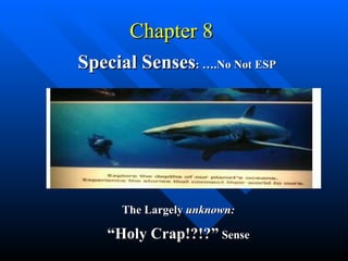 Chapter 8  Special Senses : ….No Not ESP The Largely  unknown: “ Holy Crap!?!?”  Sense 