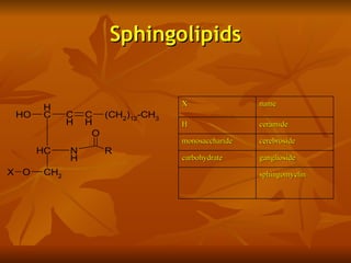 Sphingolipids


                                 X                name
      H
 HO   C      C   C (CH2)12-CH3
             H   H               H                ceramide
                  O
                                 monosaccharide   cerebroside
      HC     N      R
             H                   carbohydrate     ganglioside
X O    CH2                                        sphingomyelin
 