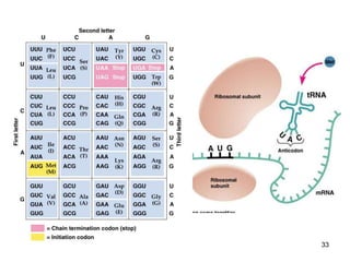 Microbial Inheritance Chapter 8 microbial genetics | PPT