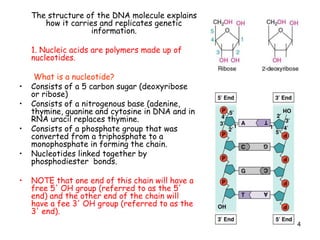 Chapter 8 microbial genetics | PPT