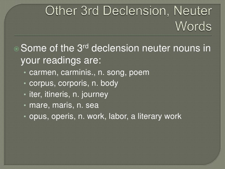 Chapter 8 Neuter Nouns