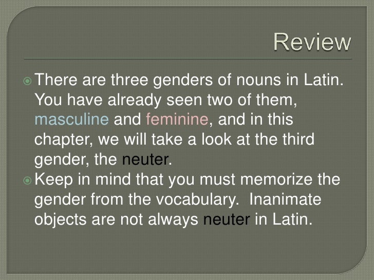 Chapter 8 Neuter Nouns