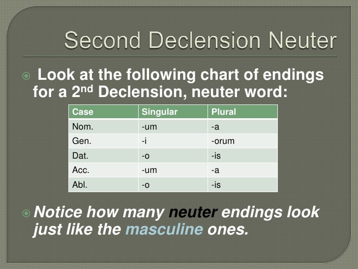 chapter-8-neuter-nouns