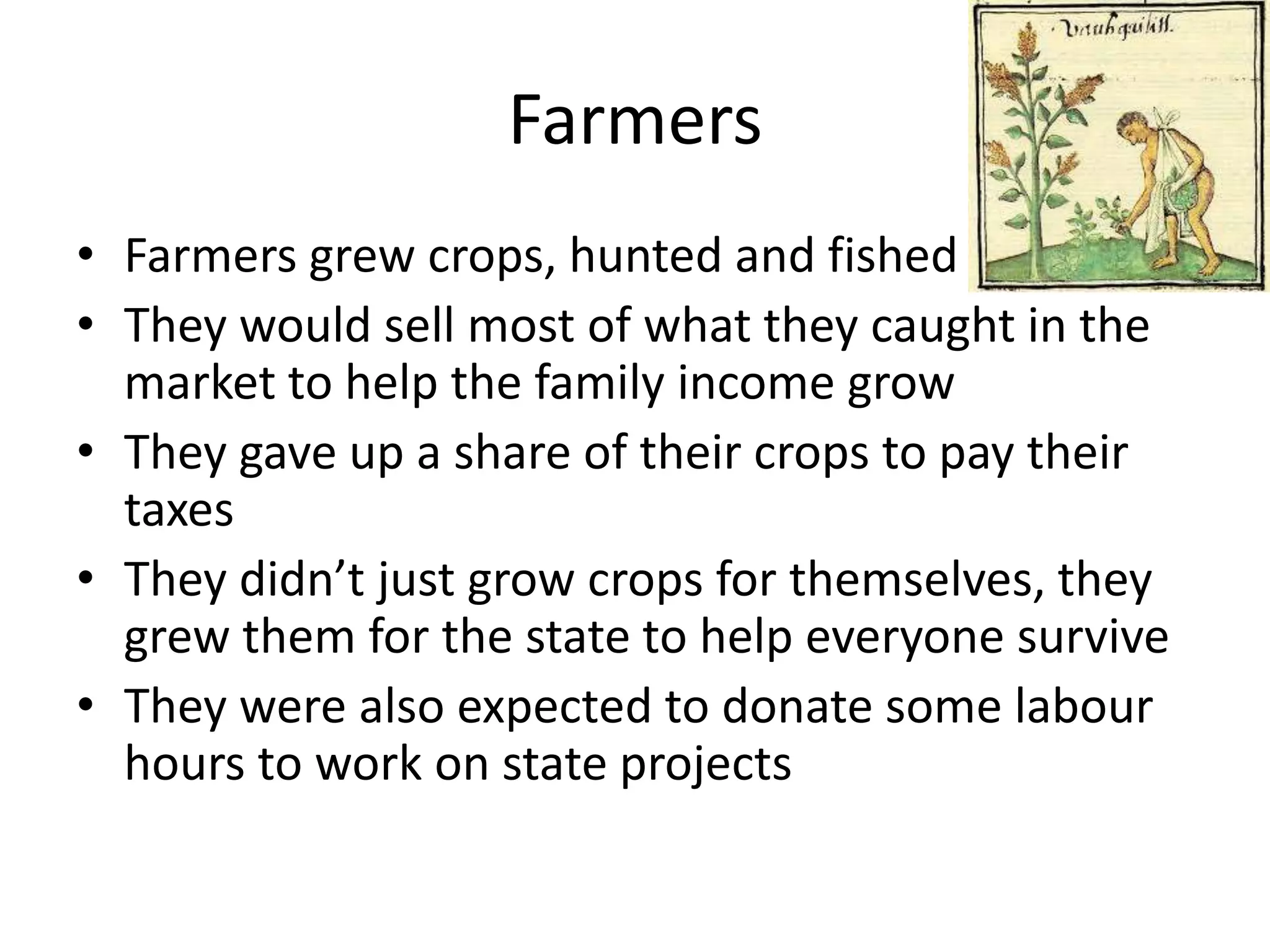 Farmers
• Farmers grew crops, hunted and fished
• They would sell most of what they caught in the
  market to help the family income grow
• They gave up a share of their crops to pay their
  taxes
• They didn’t just grow crops for themselves, they
  grew them for the state to help everyone survive
• They were also expected to donate some labour
  hours to work on state projects
 