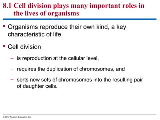 8.1 Cell division plays many important roles in
the lives of organisms
 Organisms reproduce their own kind, a key
characteristic of life.
 Cell division
– is reproduction at the cellular level,
– requires the duplication of chromosomes, and
– sorts new sets of chromosomes into the resulting pair
of daughter cells.

© 2012 Pearson Education, Inc.

 