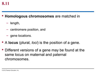 8.11
 Homologous chromosomes are matched in
– length,
– centromere position, and
– gene locations.

 A locus (plural, loci) is the position of a gene.
 Different versions of a gene may be found at the
same locus on maternal and paternal
chromosomes.
© 2012 Pearson Education, Inc.

 
