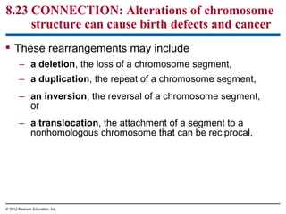 8.23 CONNECTION: Alterations of chromosome
structure can cause birth defects and cancer
 These rearrangements may include
– a deletion, the loss of a chromosome segment,
– a duplication, the repeat of a chromosome segment,
– an inversion, the reversal of a chromosome segment,
or
– a translocation, the attachment of a segment to a
nonhomologous chromosome that can be reciprocal.

© 2012 Pearson Education, Inc.

 