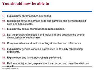 You should now be able to
9.

Explain how chromosomes are paired.

10. Distinguish between somatic cells and gametes and between diploid
cells and haploid cells.
11. Explain why sexual reproduction requires meiosis.
12. List the phases of meiosis I and meiosis II and describe the events
characteristic of each phase.
13. Compare mitosis and meiosis noting similarities and differences.
14. Explain how genetic variation is produced in sexually reproducing
organisms.
15. Explain how and why karyotyping is performed.
16. Define nondisjunction, explain how it can occur, and describe what can
result.
© 2012 Pearson Education, Inc.

 