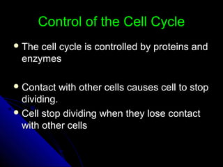 Control of the Cell CycleControl of the Cell Cycle
 The cell cycle is controlled by proteins andThe cell cycle is controlled by proteins and
enzymesenzymes
 Contact with other cells causes cell to stopContact with other cells causes cell to stop
dividing.dividing.
 Cell stop dividing when they lose contactCell stop dividing when they lose contact
with other cellswith other cells
 