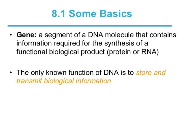 Chapter 8 nucleotides Biochemistry